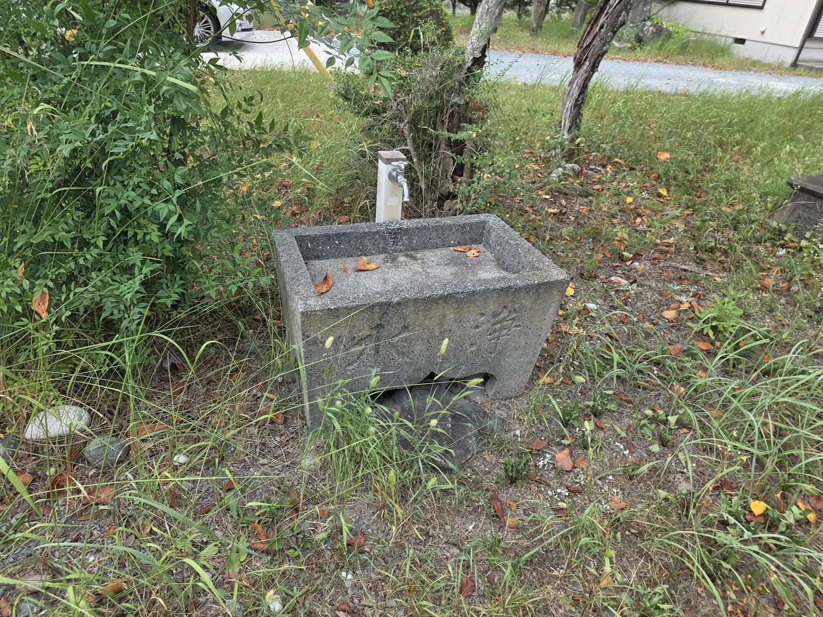 境内の一角に残る石の手水鉢。