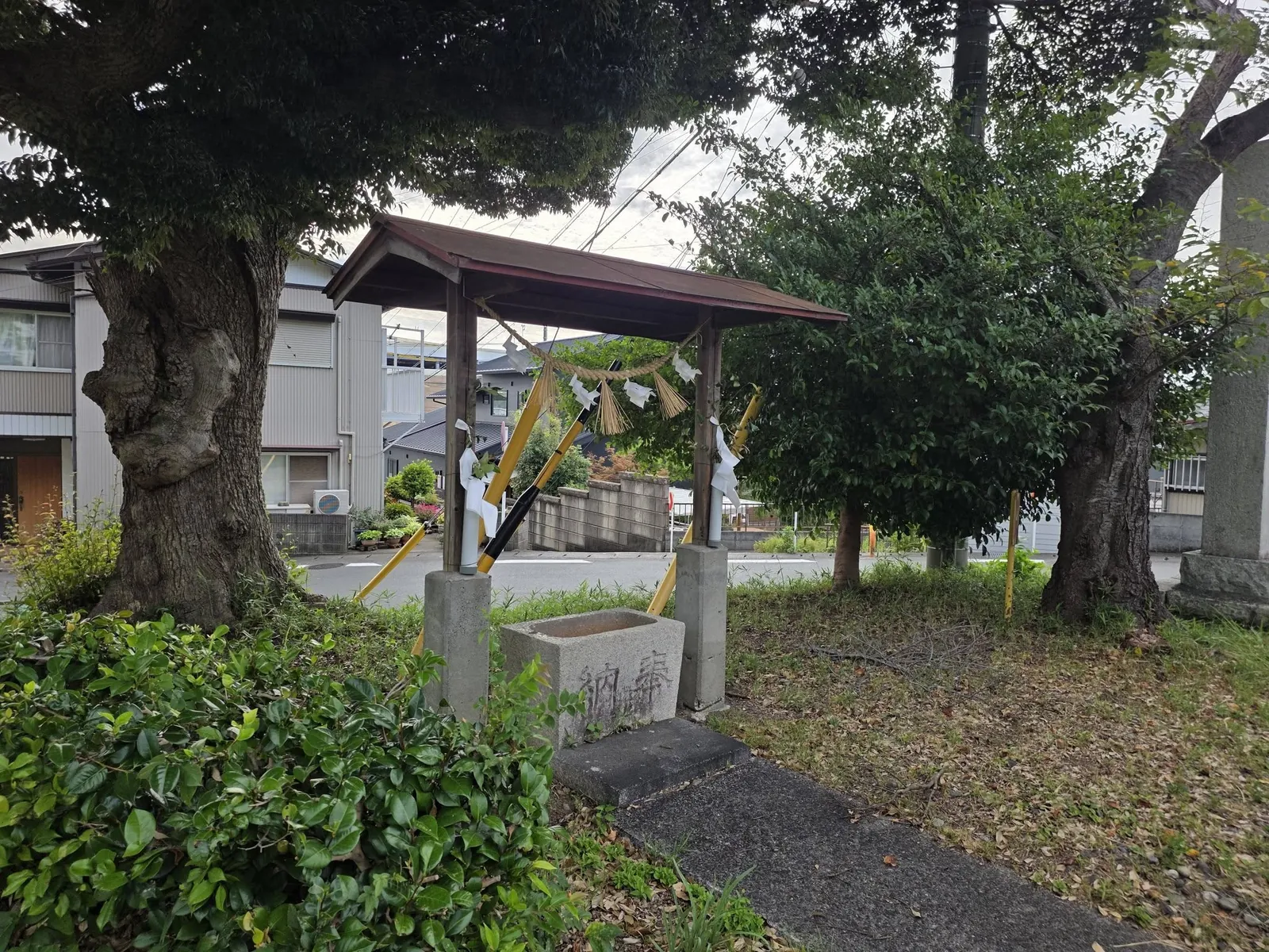 参道脇の手水舎。傍らに社叢の大木が立つ。