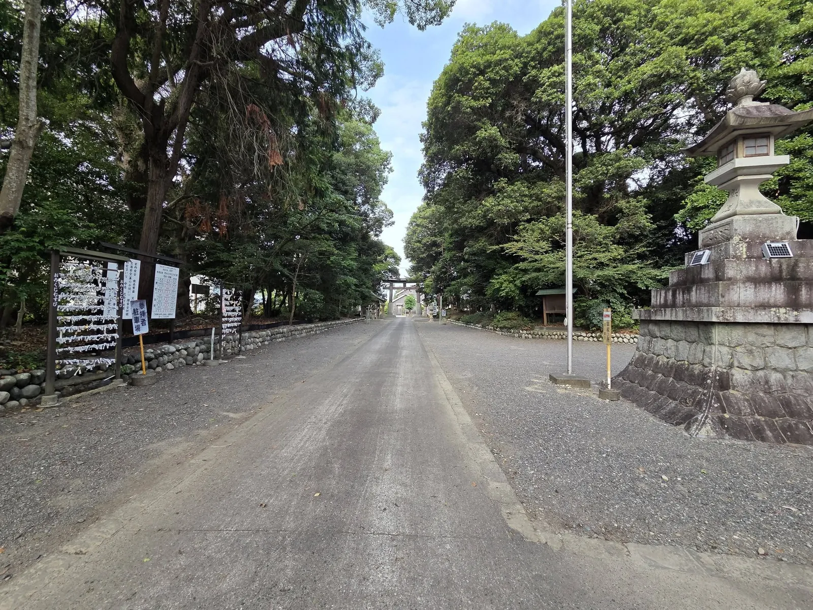 社叢の中を社殿へ延びる参道。