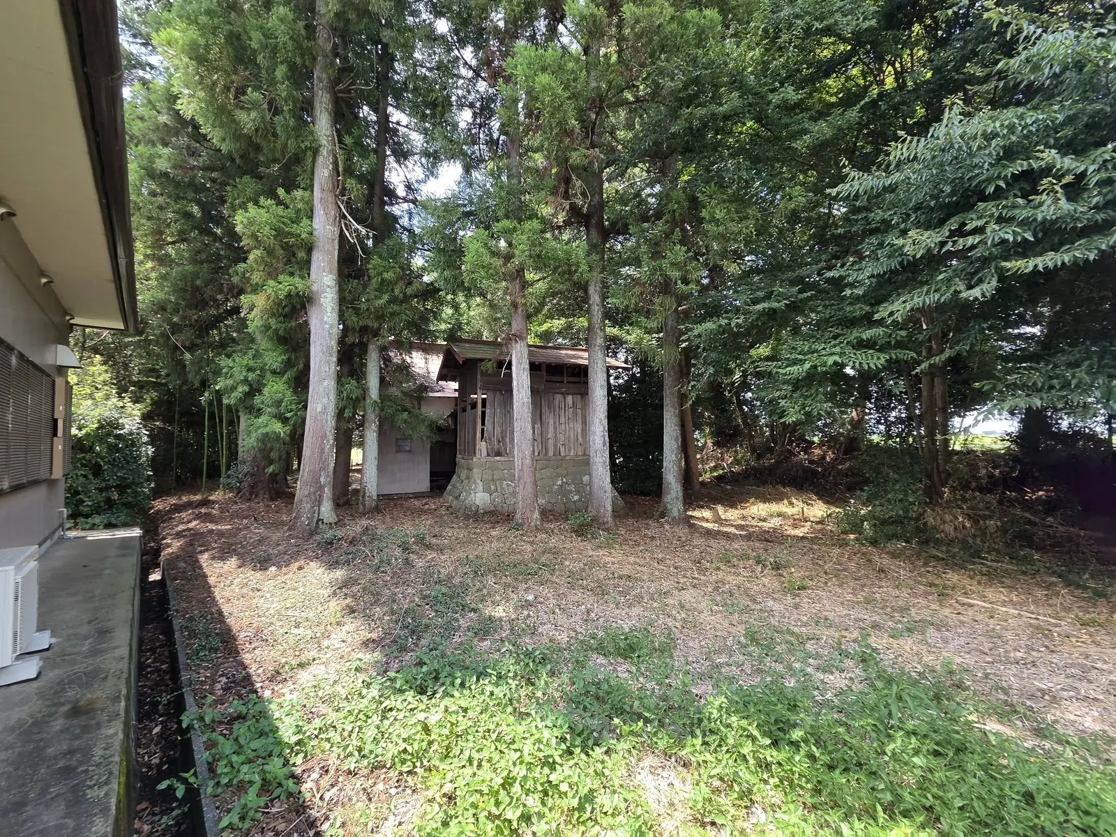 社殿脇の木立に建つ境内の小祠。