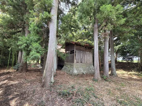 社叢の木々に囲まれた境内の小祠。