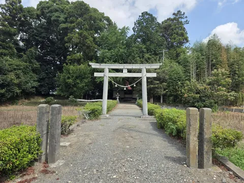 生垣に囲まれた参道入口と石造鳥居。
