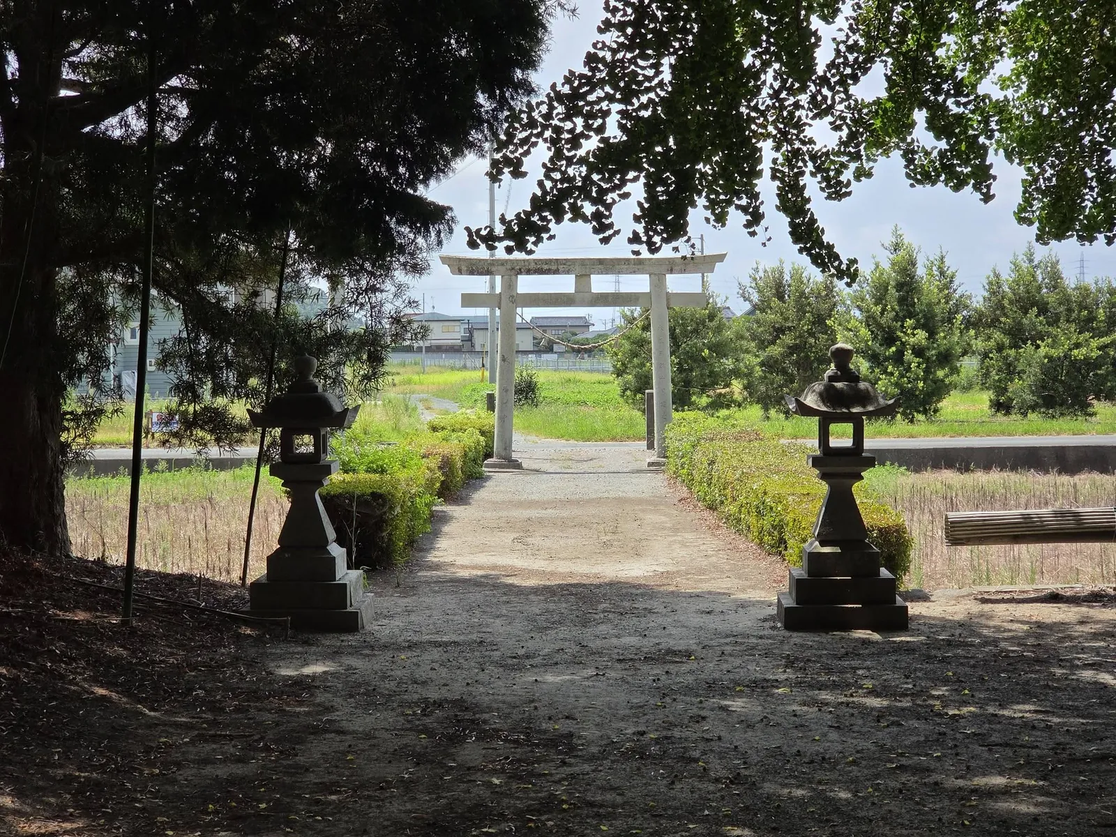 境内から鳥居と前面の田園を望む。
