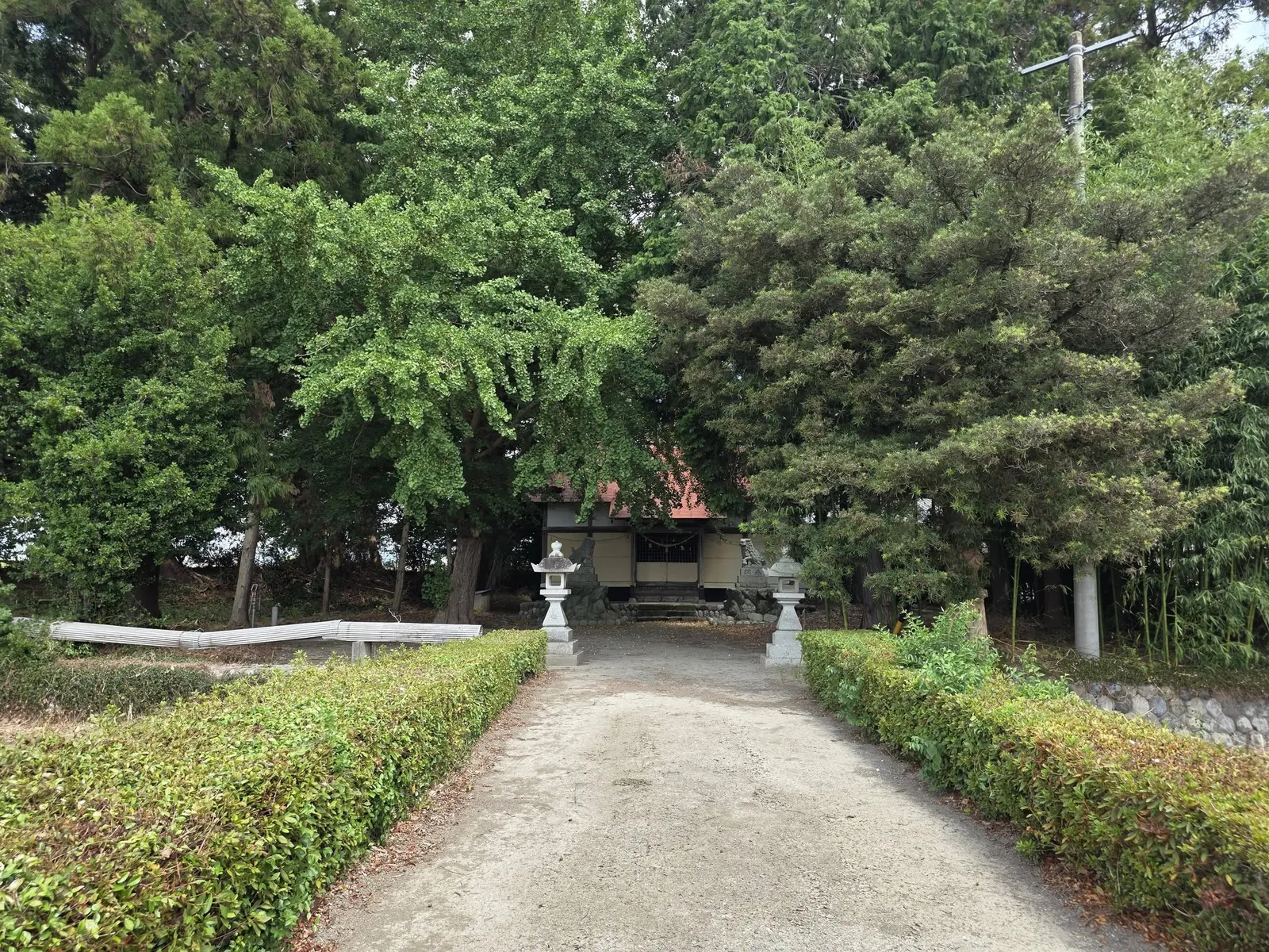 生垣に沿って社殿へ続く参道。