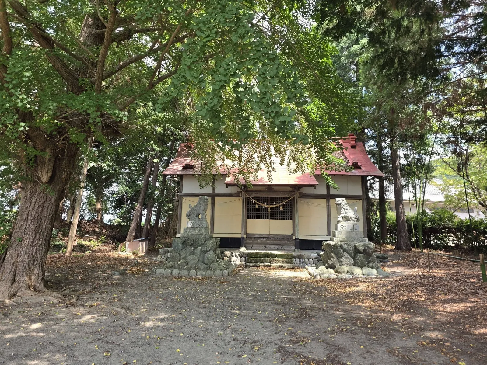 大木と狛犬に囲まれた社殿。