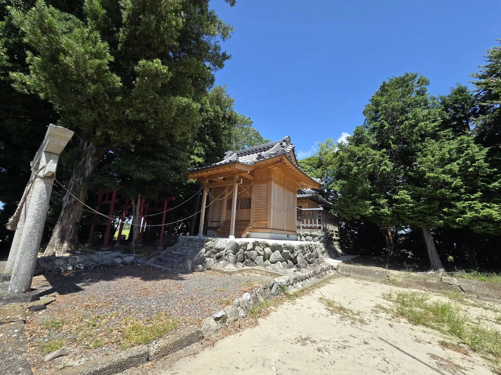 社叢に囲まれた境内と社殿。