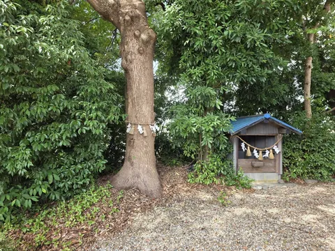 大きな御神木の幹に注連縄が掛けられ、隣に青い屋根の小祠が建つ。