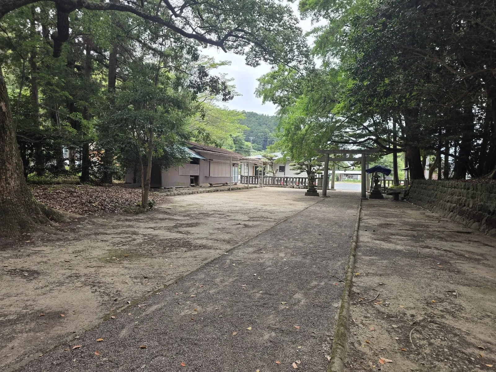 鳥居側から社殿へ続く参道。