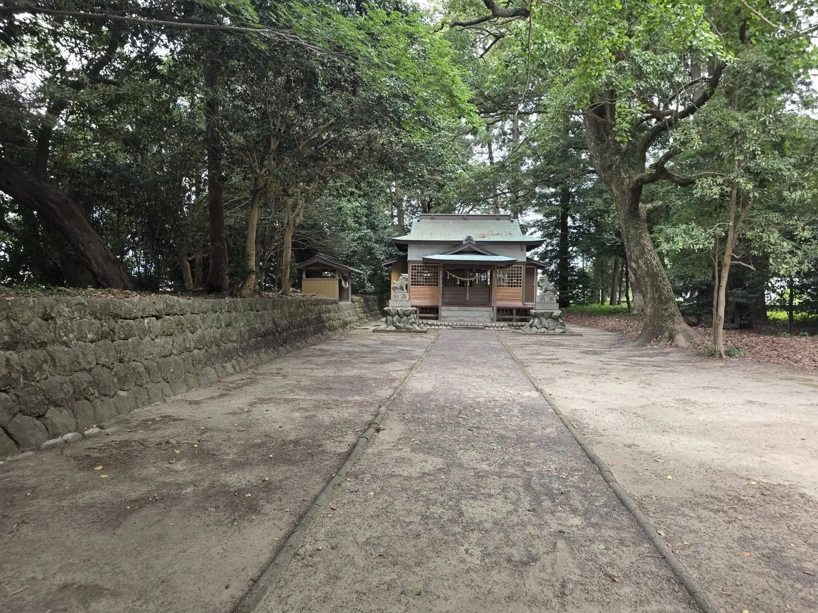 鳥居から社殿へ向かう参道。