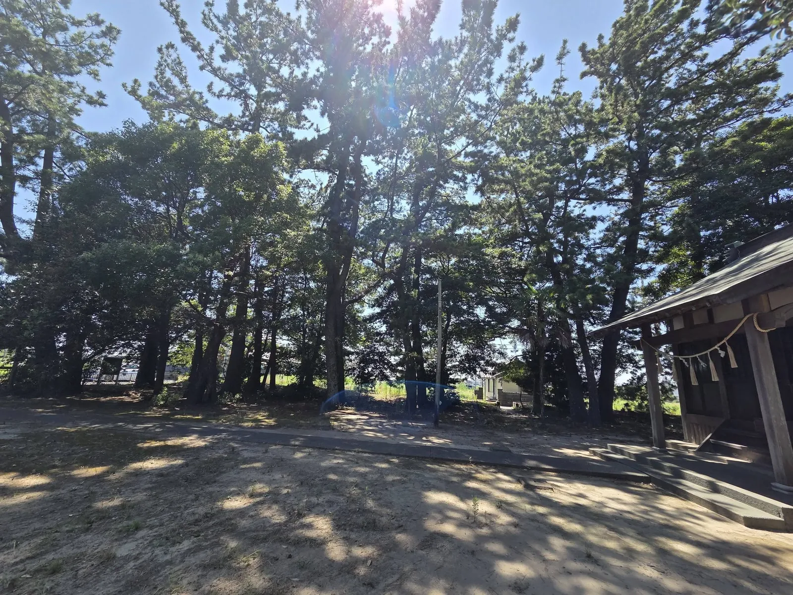 松林に囲まれた八幡神社の境内。