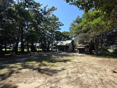 境内に広がる松林と八幡神社の社殿。