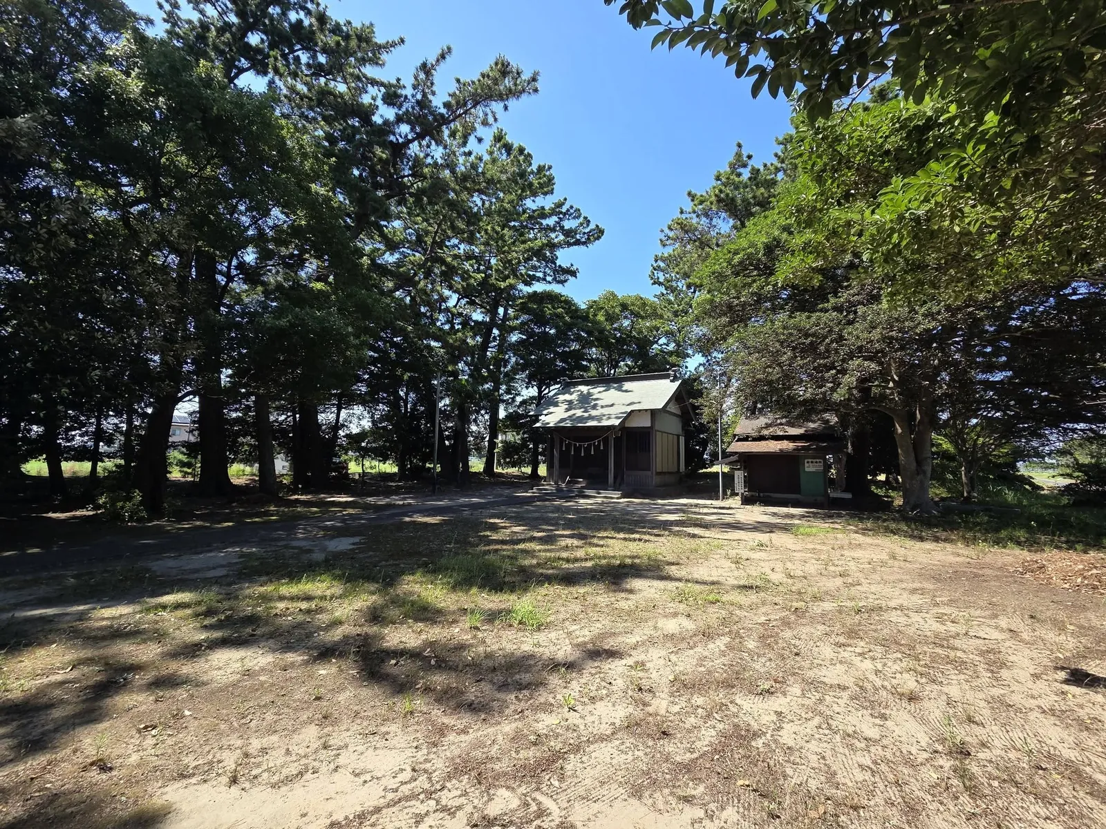 境内に広がる松林と八幡神社の社殿。