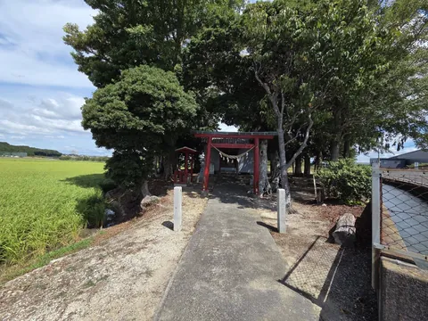 畦道の参道から見た境内。社叢の奥に赤い鳥居と社殿が見える。
