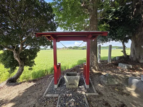 赤い屋根の手水舎と石の水盤。奥に鳥居の一部が見える。