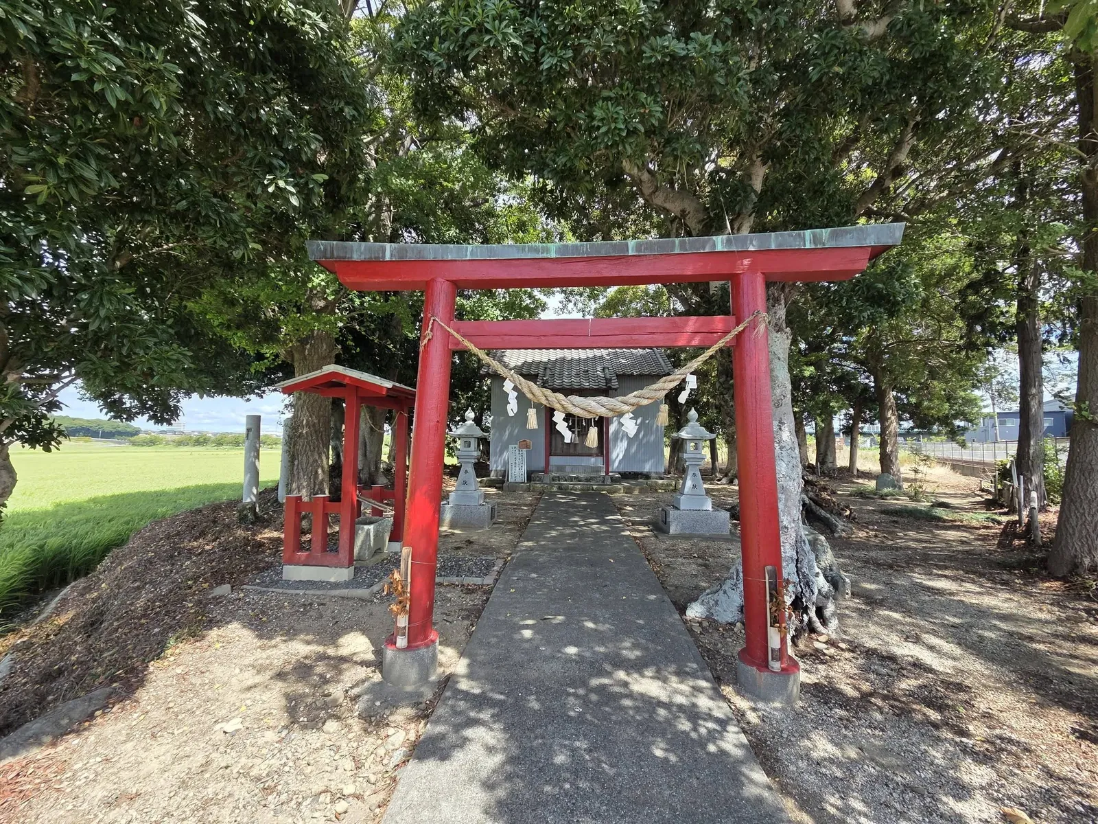 参道正面から見た朱色の鳥居。注連縄と紙垂が掛かり、奥に社殿が見える。