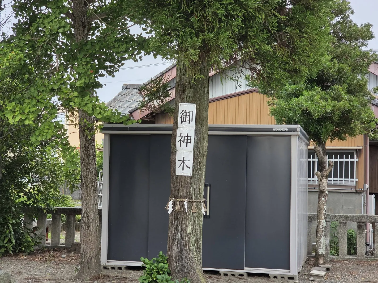 境内の御神木と社叢。