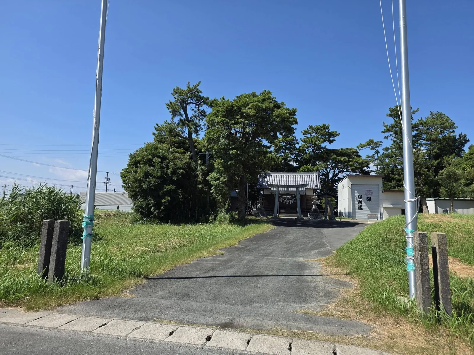 田園側から見た白山神社の境内と社叢。