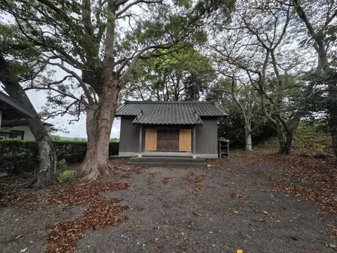 社殿前に立つ大木と社叢。太い幹が境内を覆うように枝を広げる。