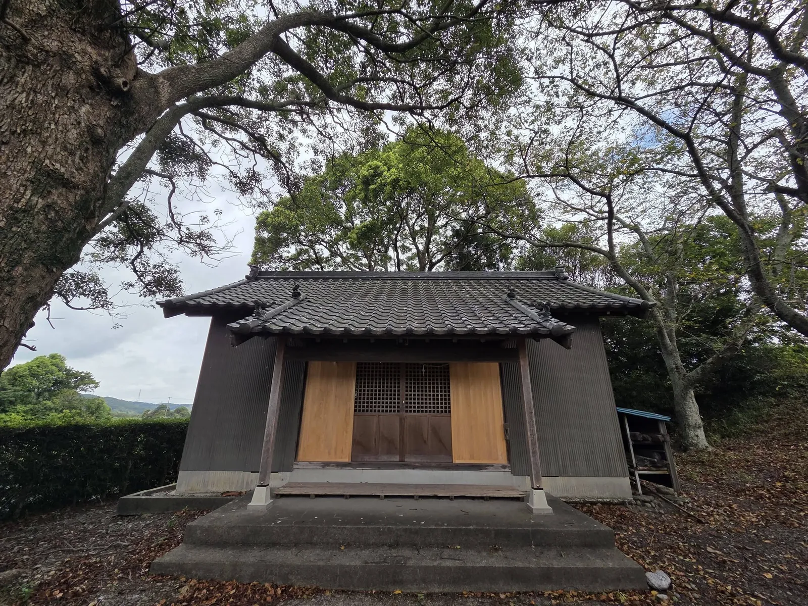 社殿正面。切妻造の屋根を掛け、木製の引戸を備える。