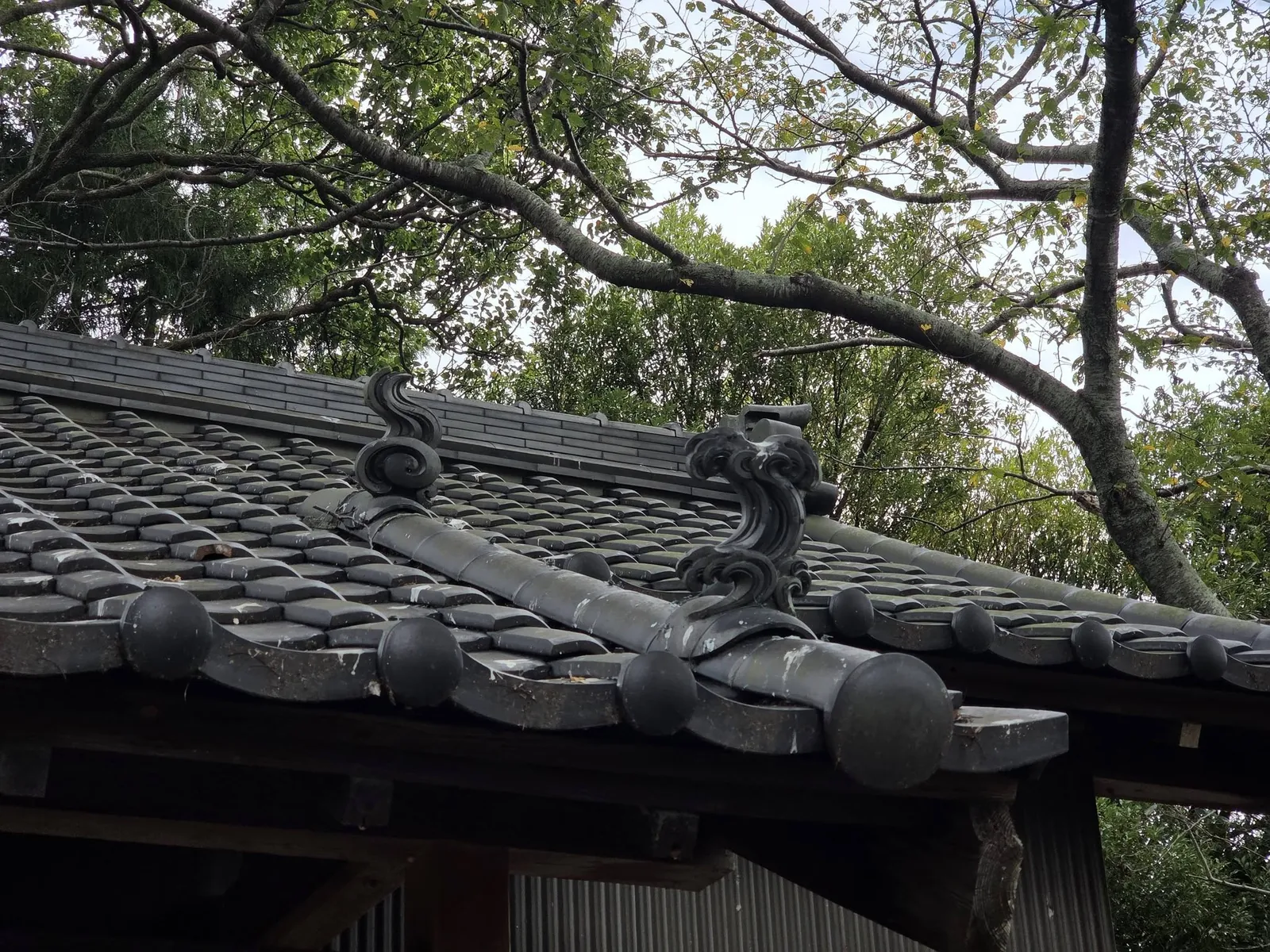 社殿屋根の近景。瓦葺の棟に鬼瓦を据える。