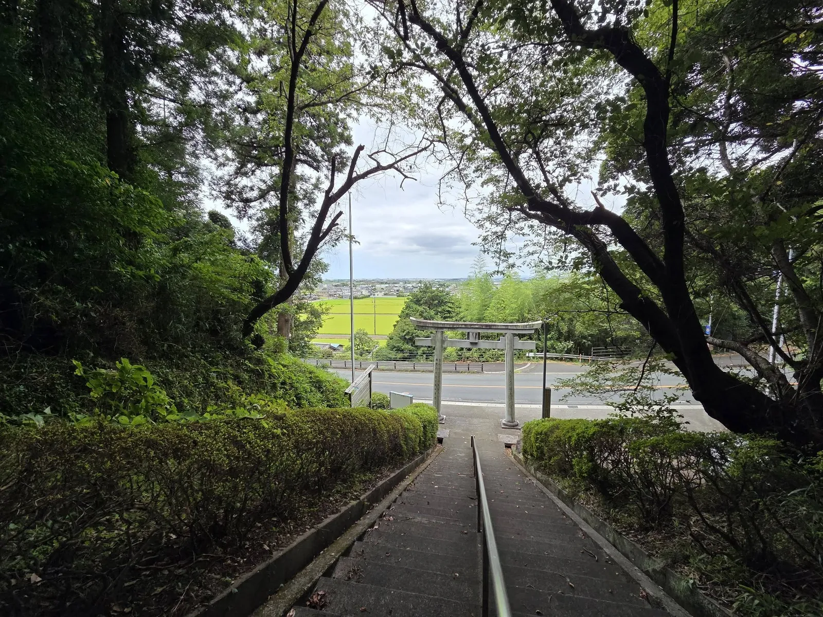 境内から鳥居と匂坂中の田園を望む。
