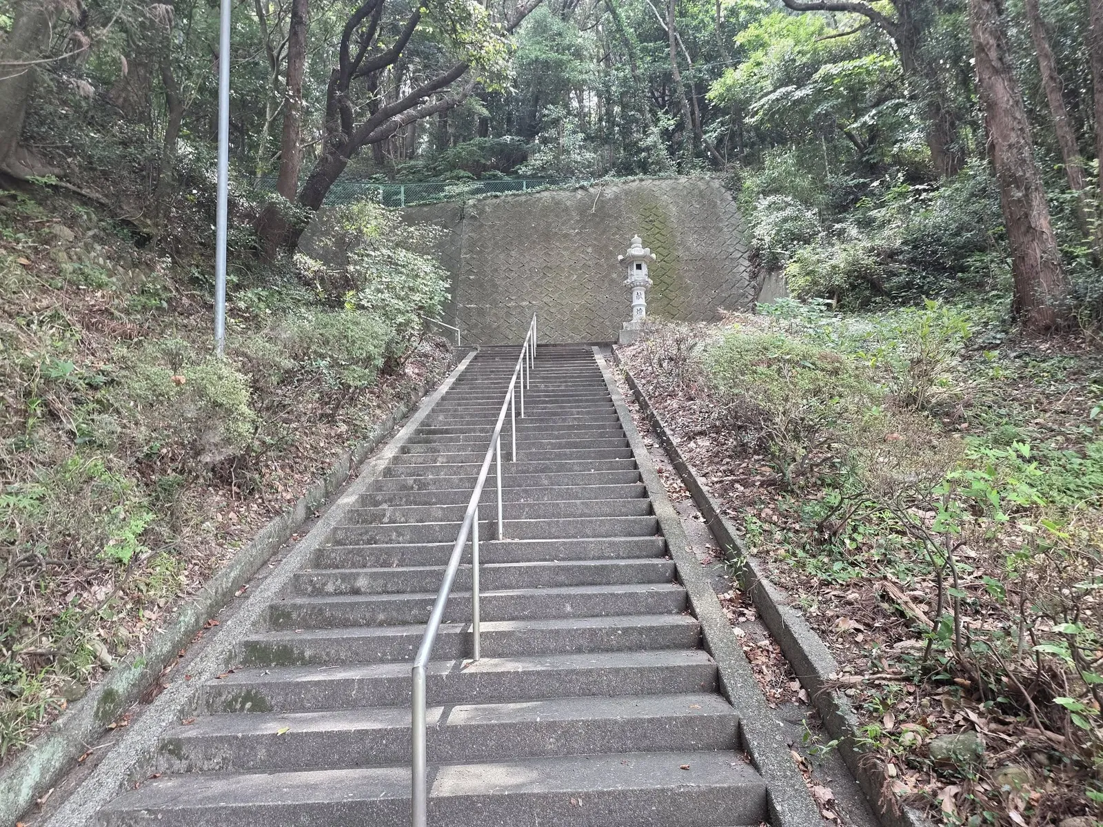石段の上に立つ石灯籠と社殿へ続く参道。