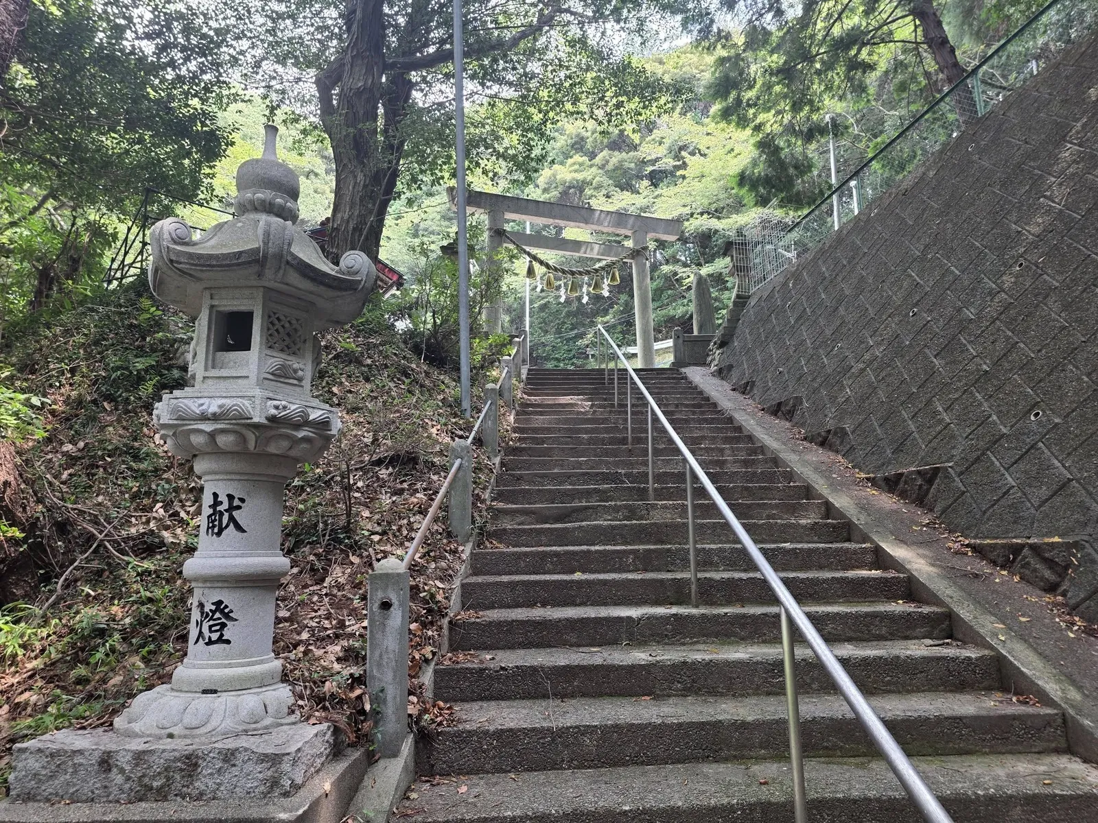石灯籠の間から鳥居を見下ろす参道。