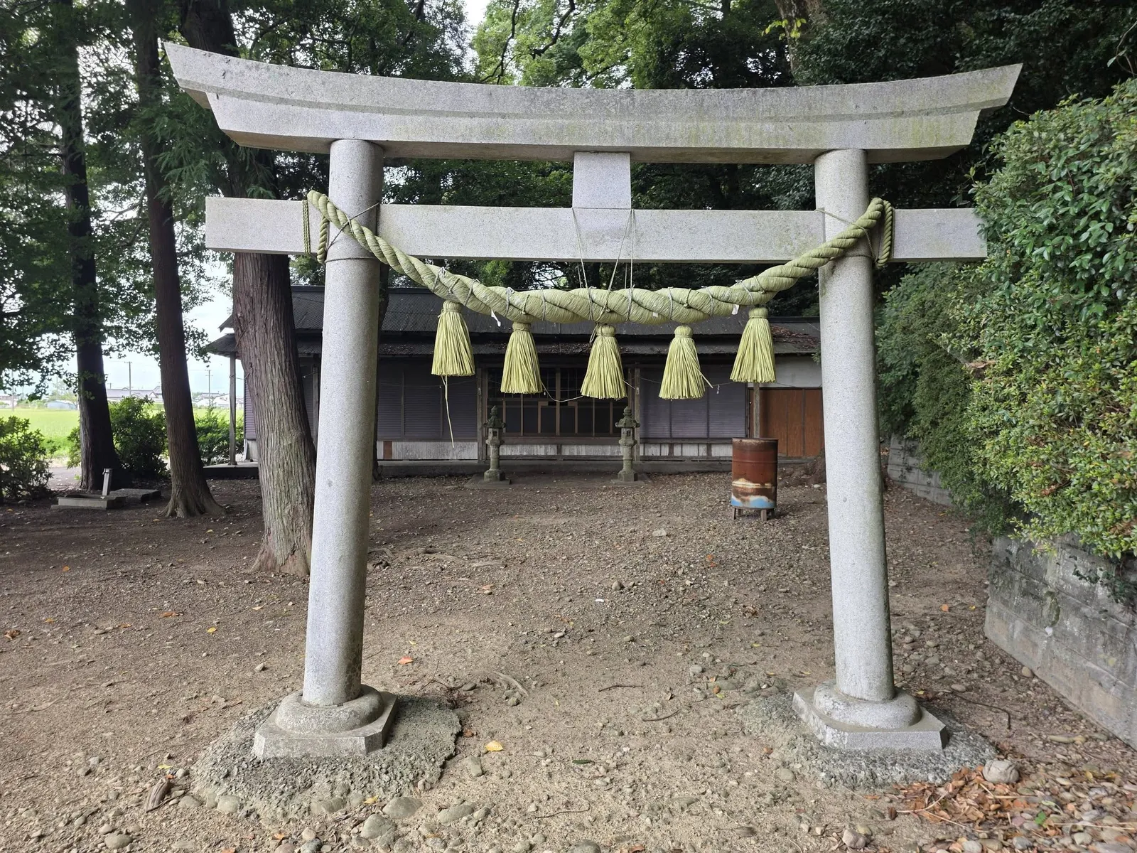 境内正面の石造鳥居。奥に社殿が見える。