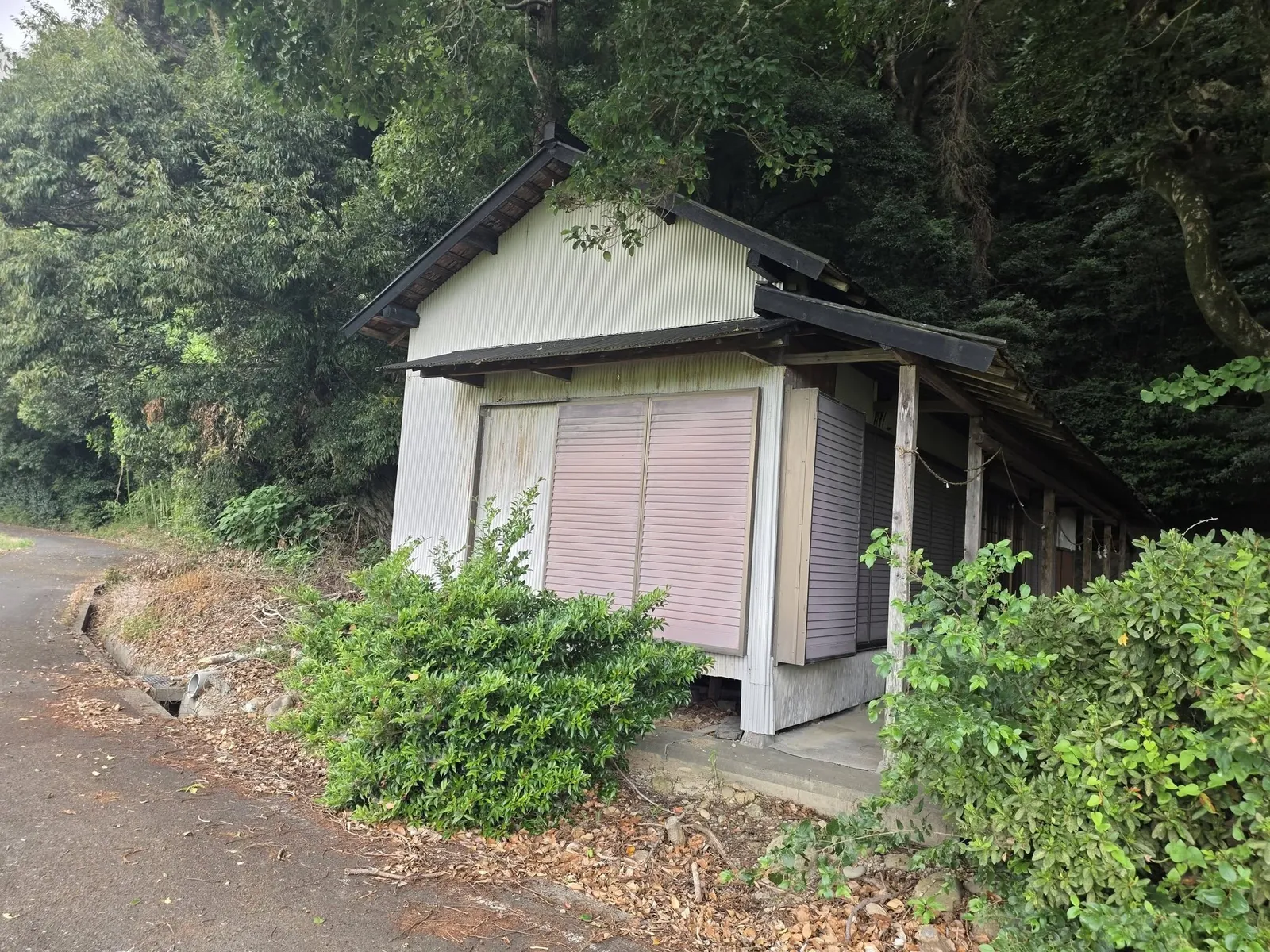 境内脇に建つ建物。社叢に囲まれている。