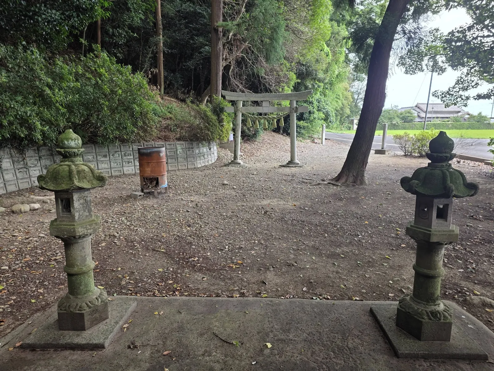 社殿側から見た参道と石造鳥居。石灯籠が並ぶ。