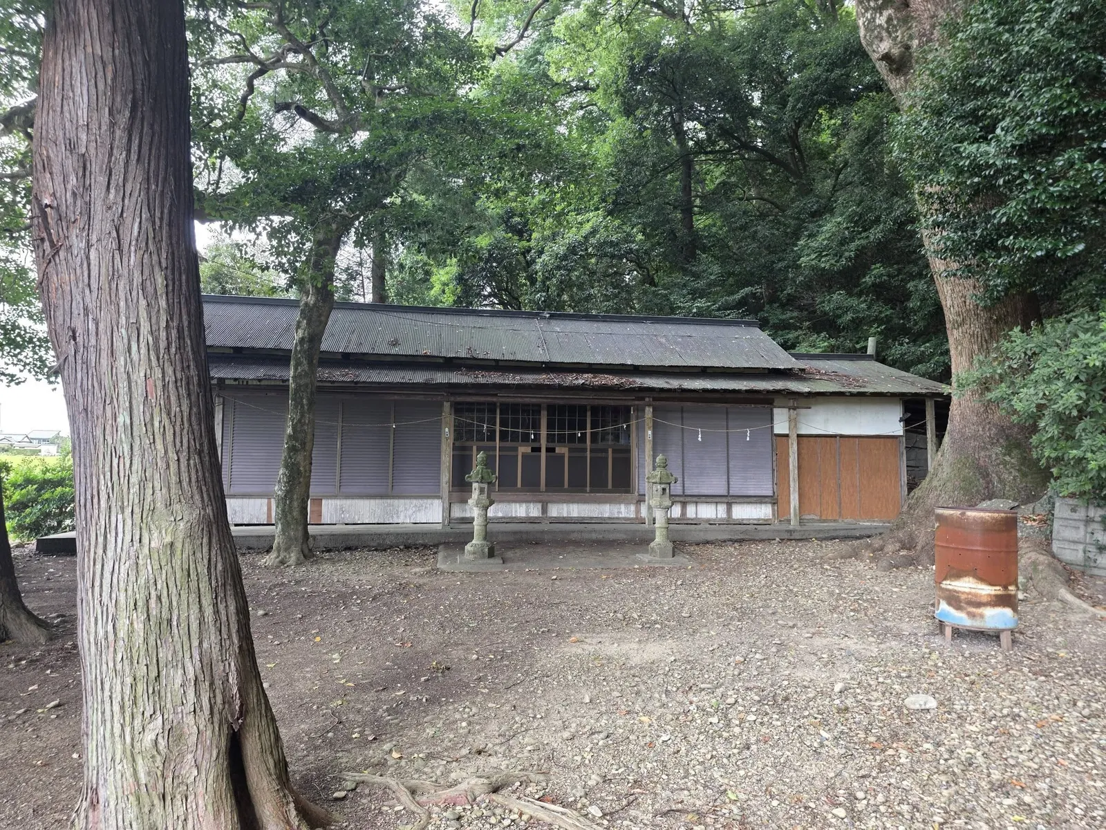 境内から見た社殿正面。大木に囲まれて鎮座する。
