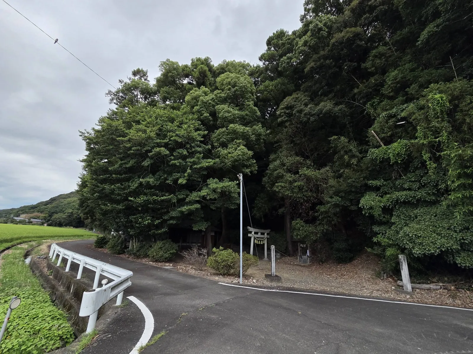 田園と道路側から見た岩田神社の社叢と境内入口。