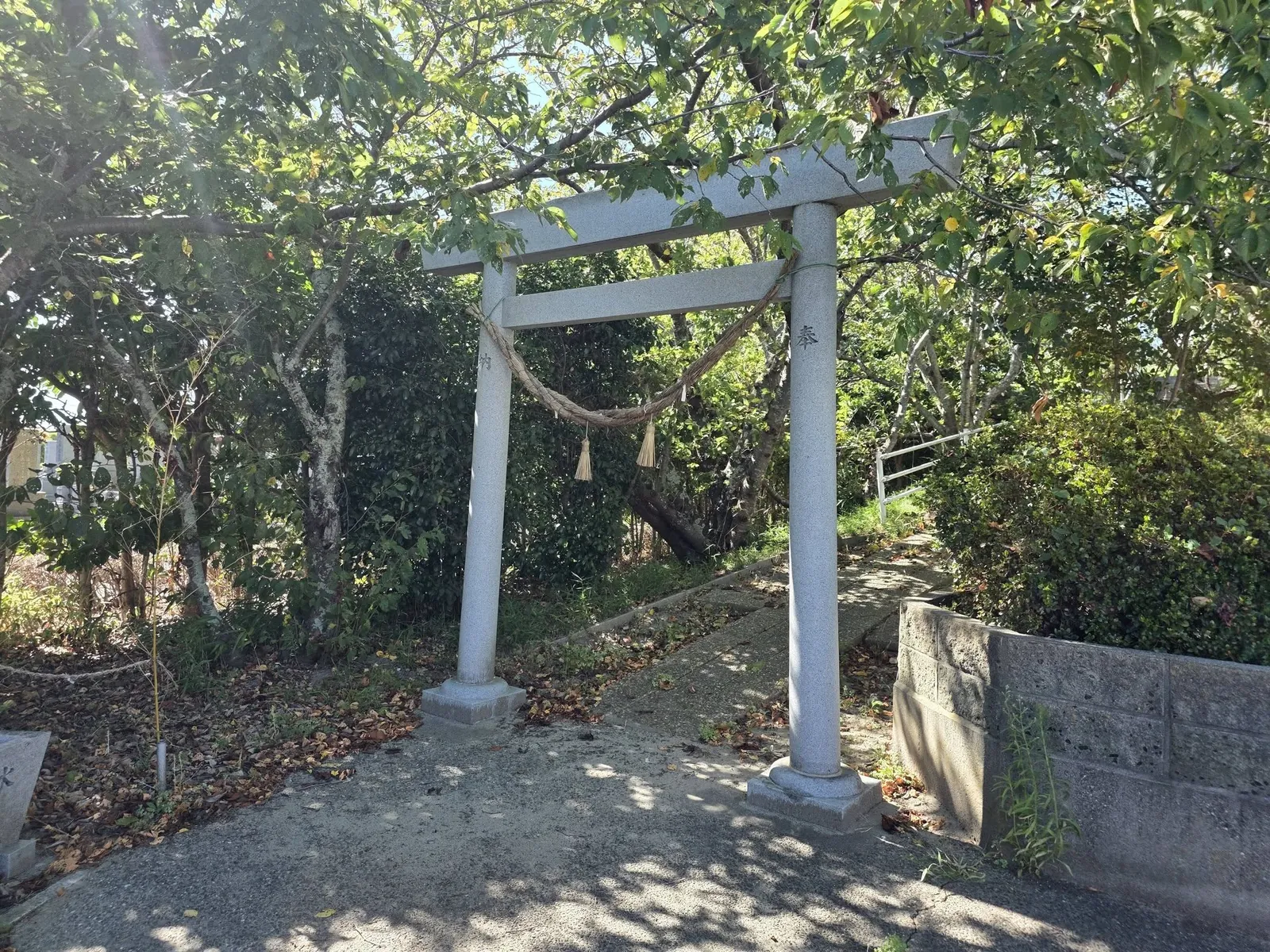 社叢の入口に立つ注連縄を掛けた石造鳥居。