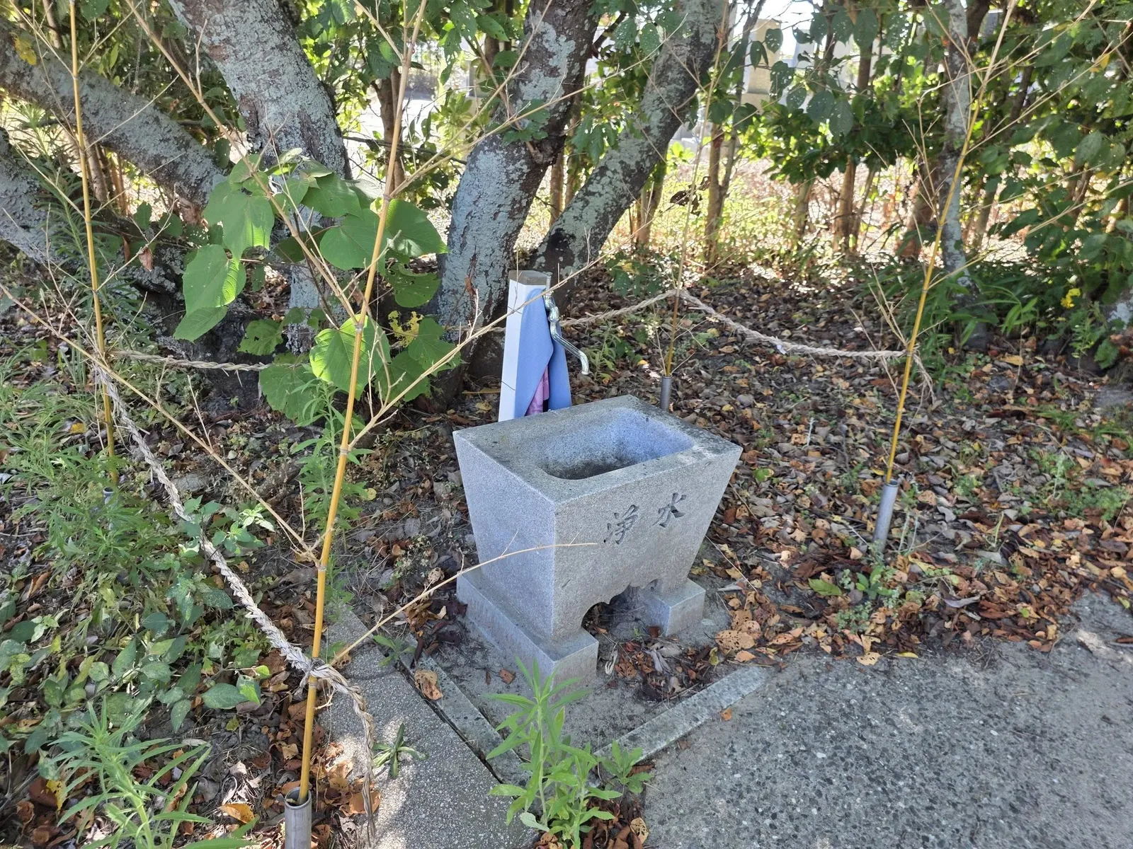 「浄水」と刻まれた石造の手水鉢。