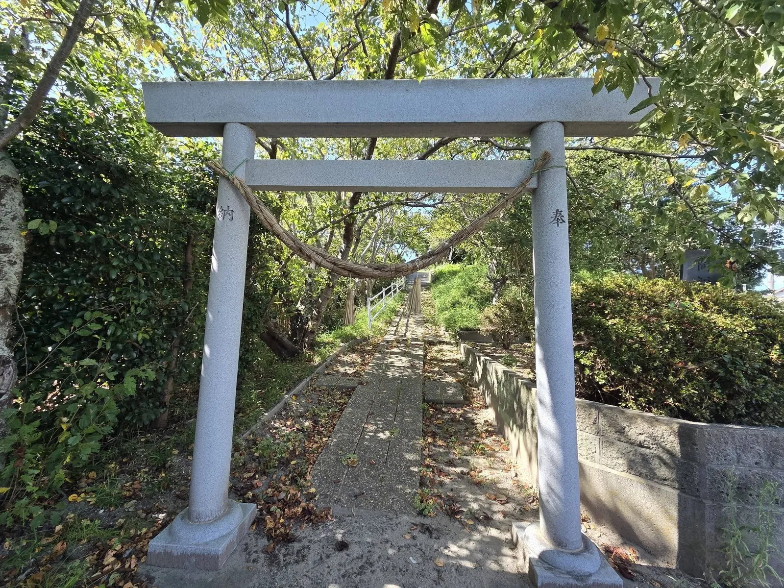正面から見た石造鳥居と社殿へ続く参道。