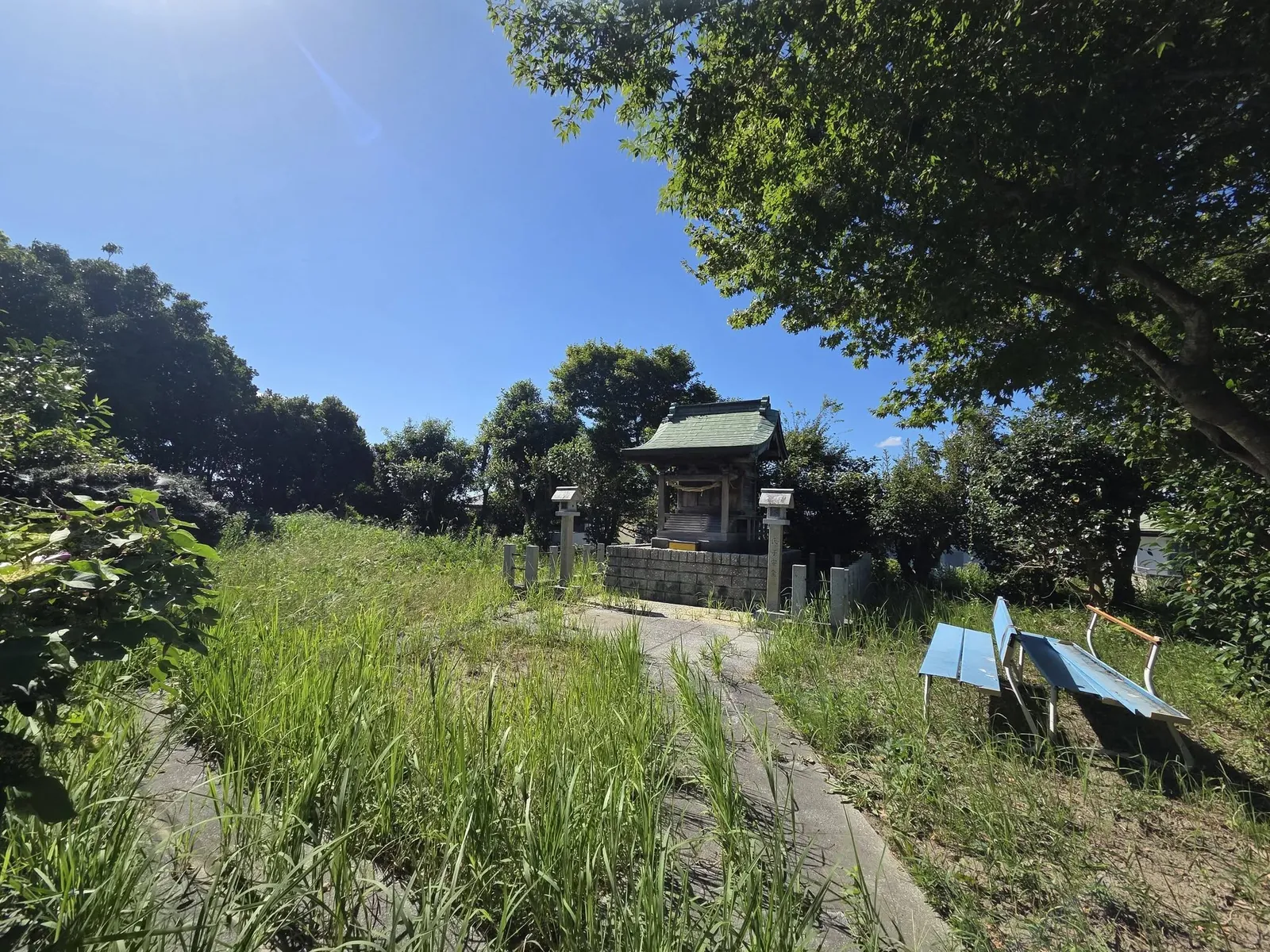 境内正面から見た開拓神社の社殿。