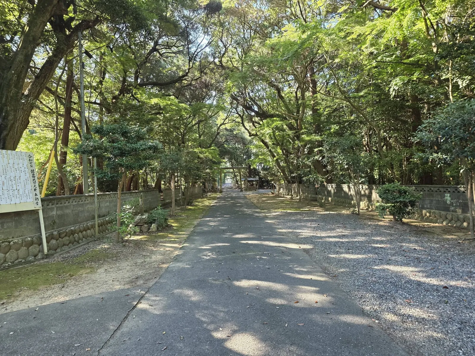 木立に囲まれた参道。奥に社殿が見える。
