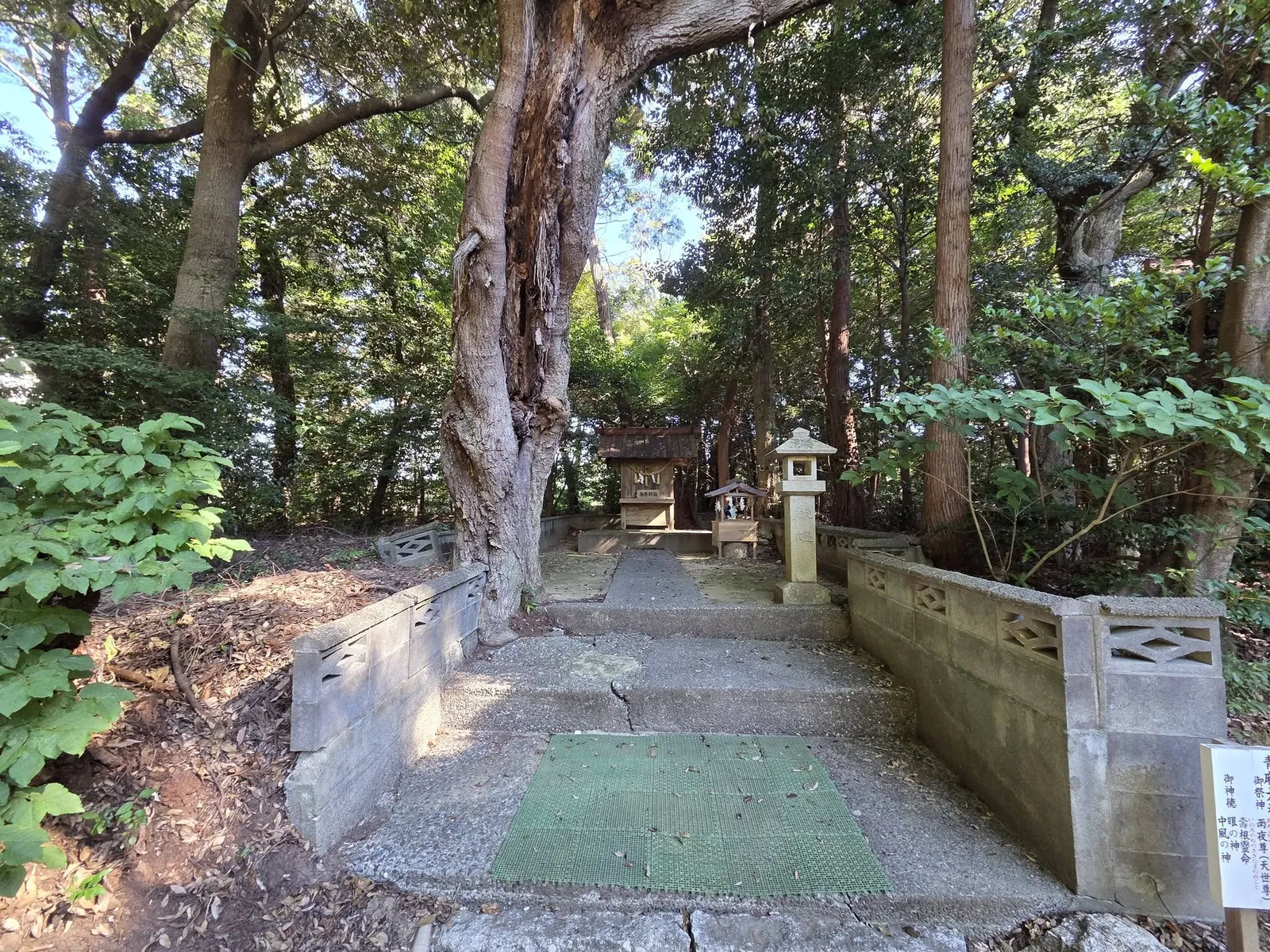 玉垣沿いの参道と境内入口。