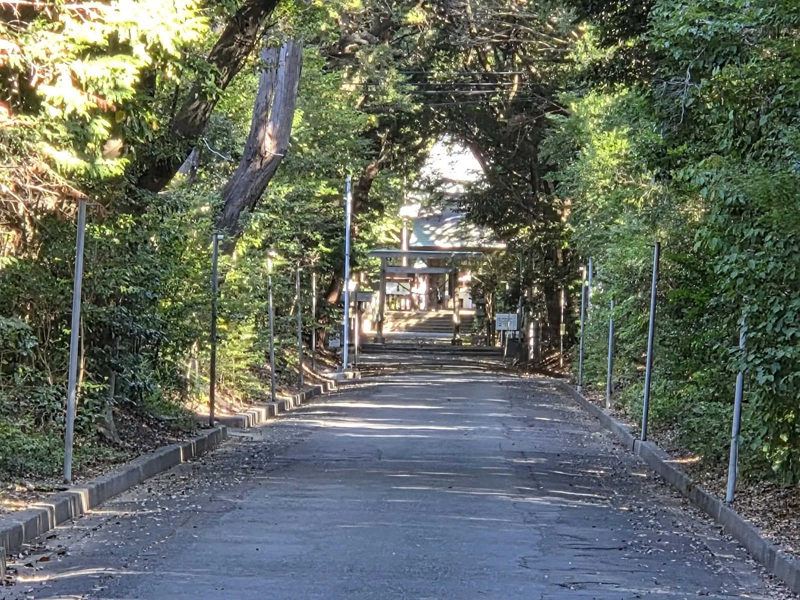 社殿へ向かう長い参道。