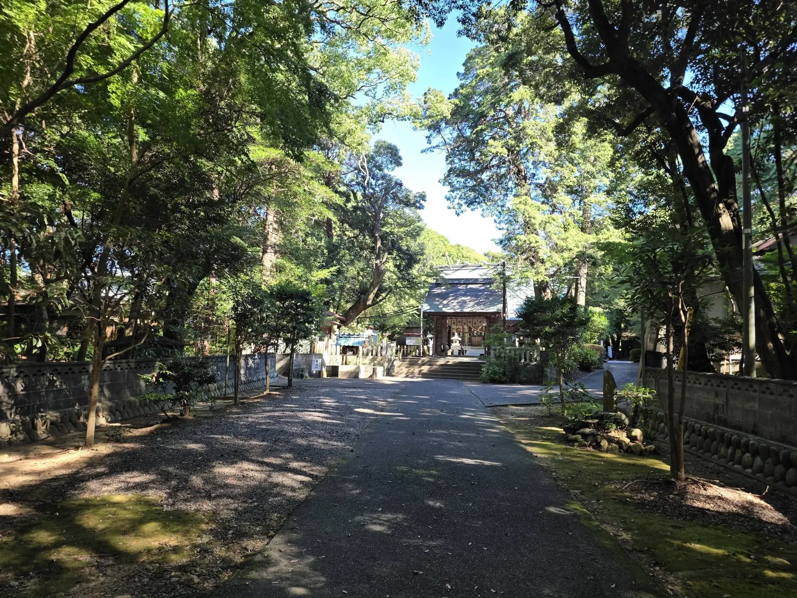 境内の大樹の間から社殿方向を望む。