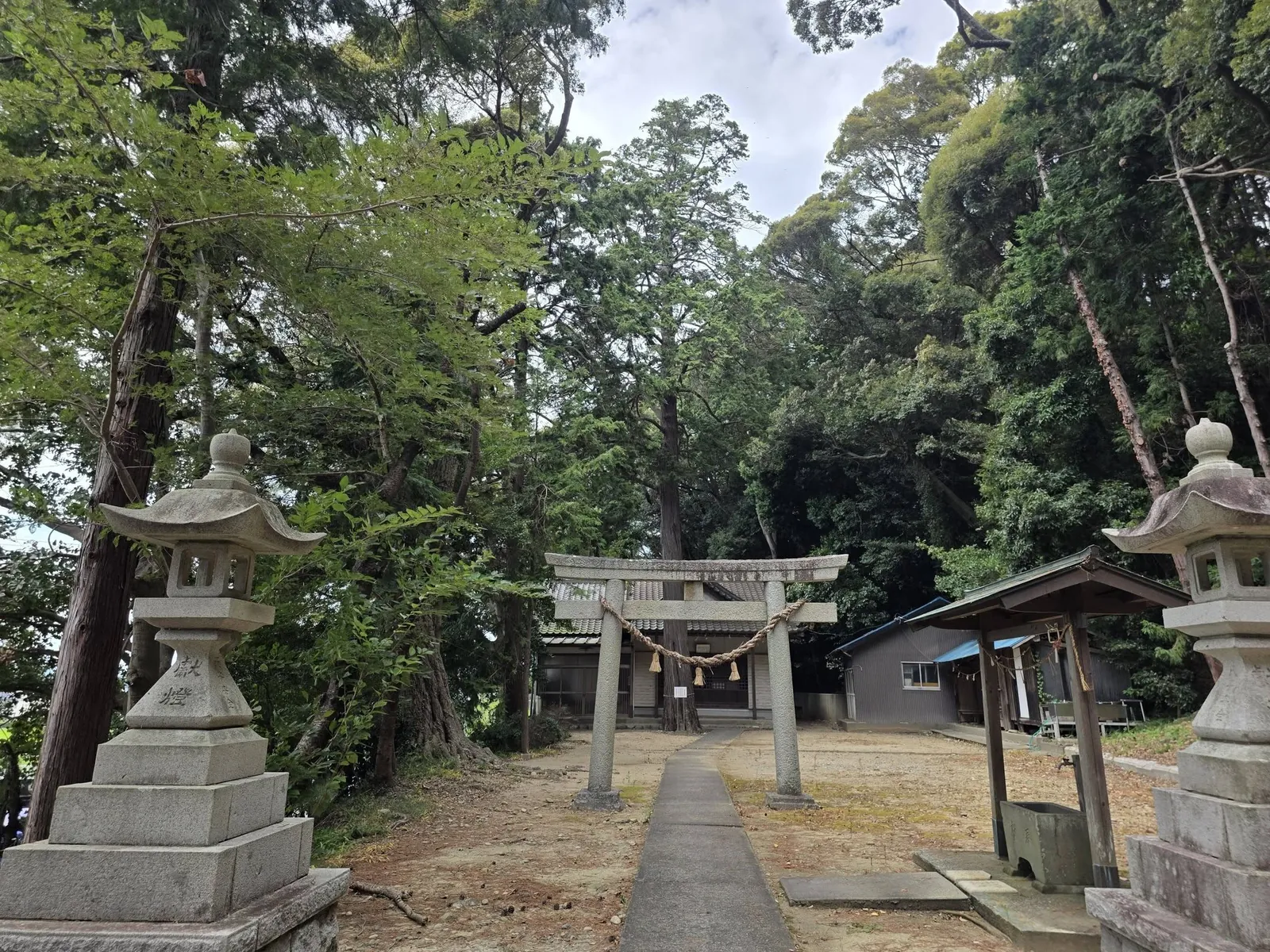 石灯籠の間から鳥居と社殿を望む参道。