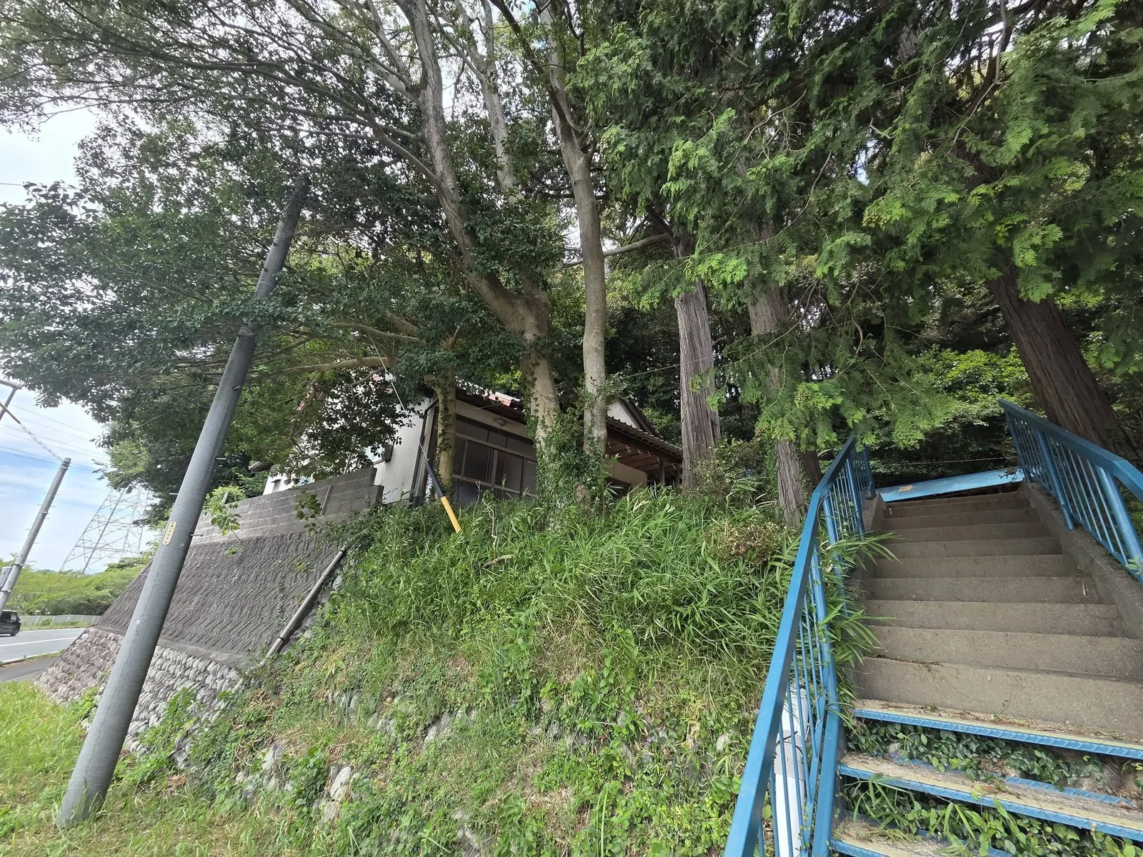 道路側から境内へ上る石段。社叢の大木が立つ。
