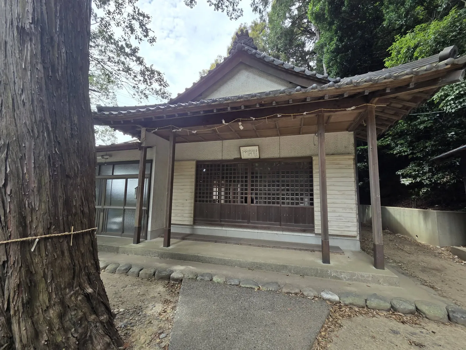 社殿正面。大木の根元に建ち、向拝を備える。