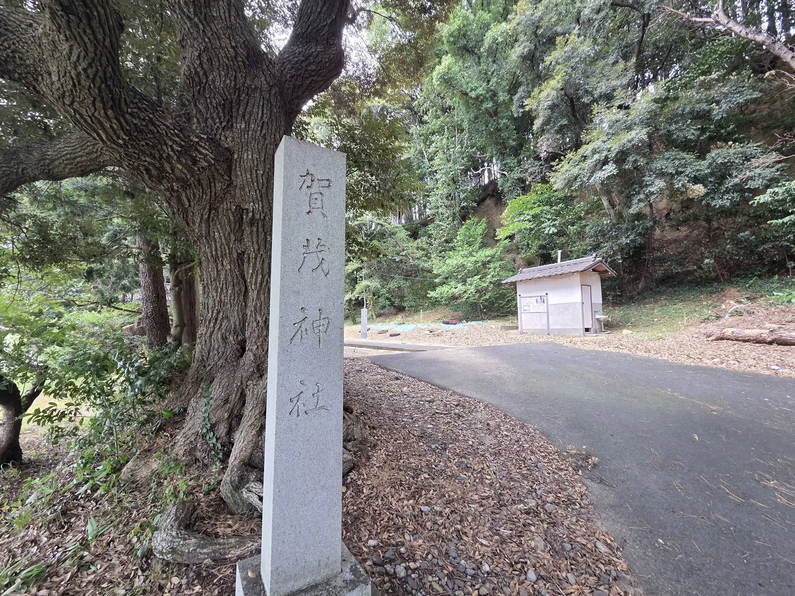社号標「賀茂神社」と境内の大木。