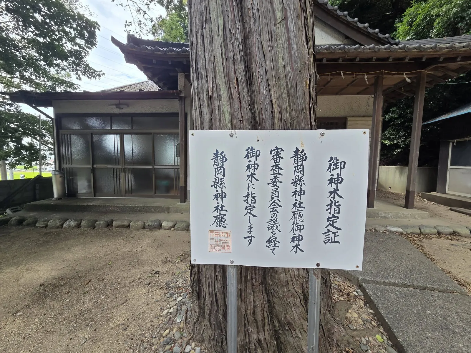 境内に掲示された御神木指定証。