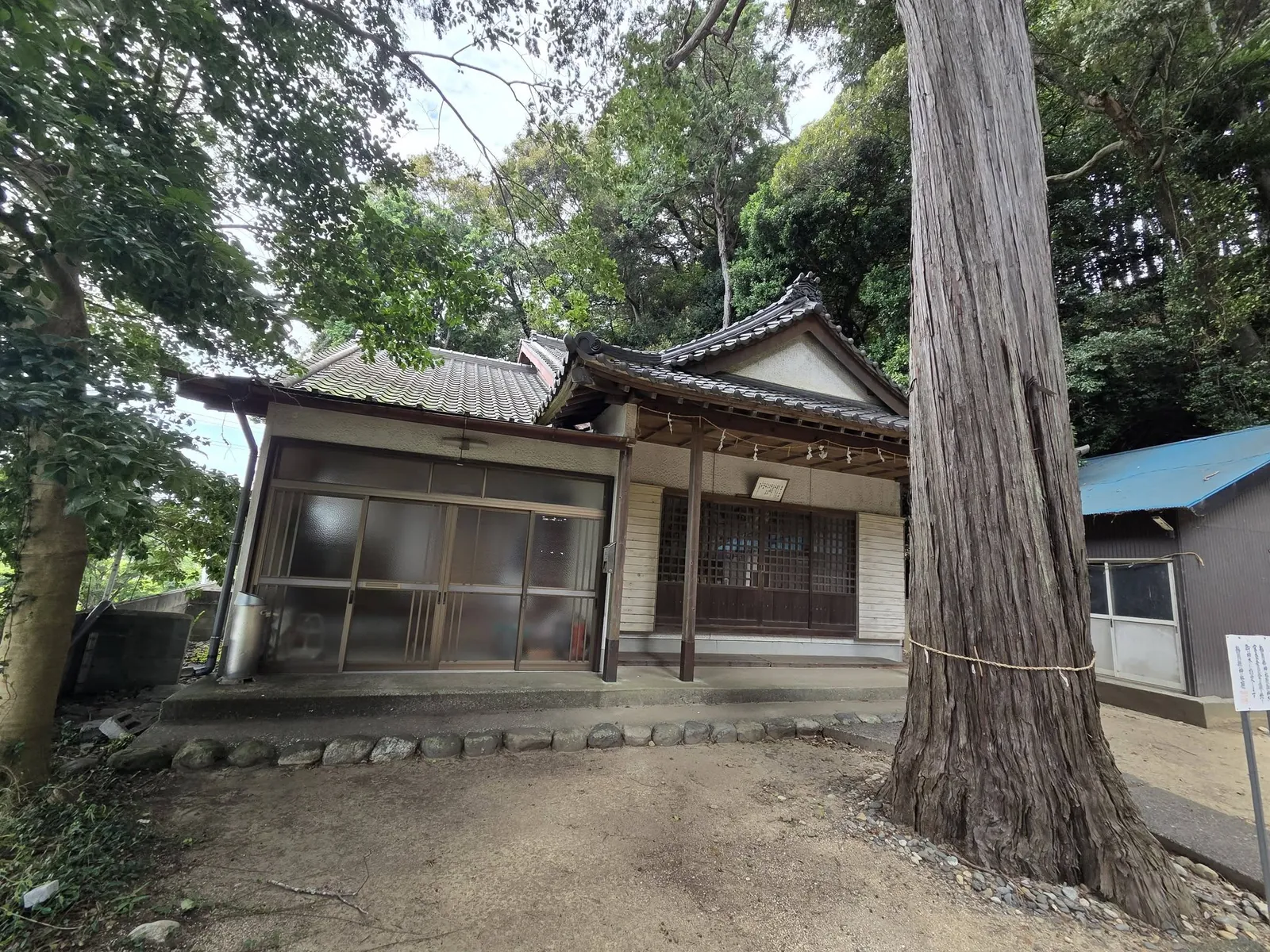 御神木の大木と社殿正面。