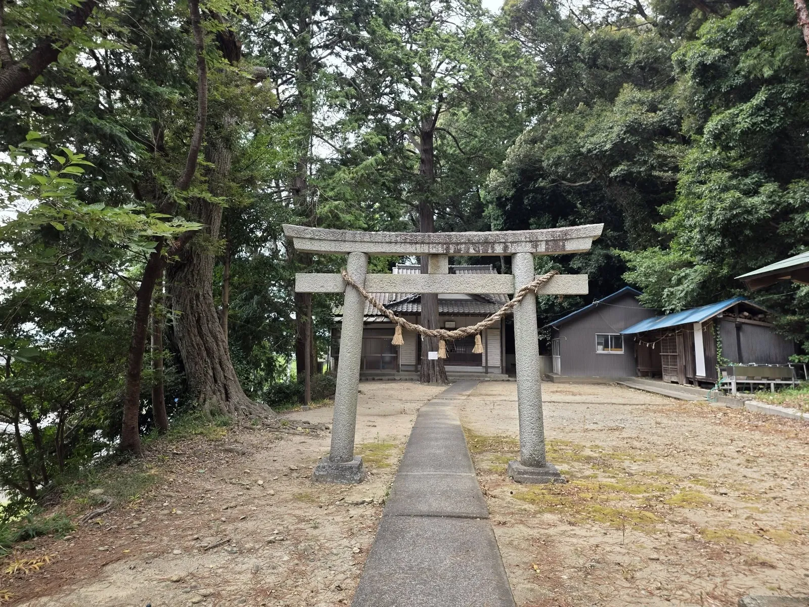 参道正面から見た石造鳥居。奥に社殿が見える。