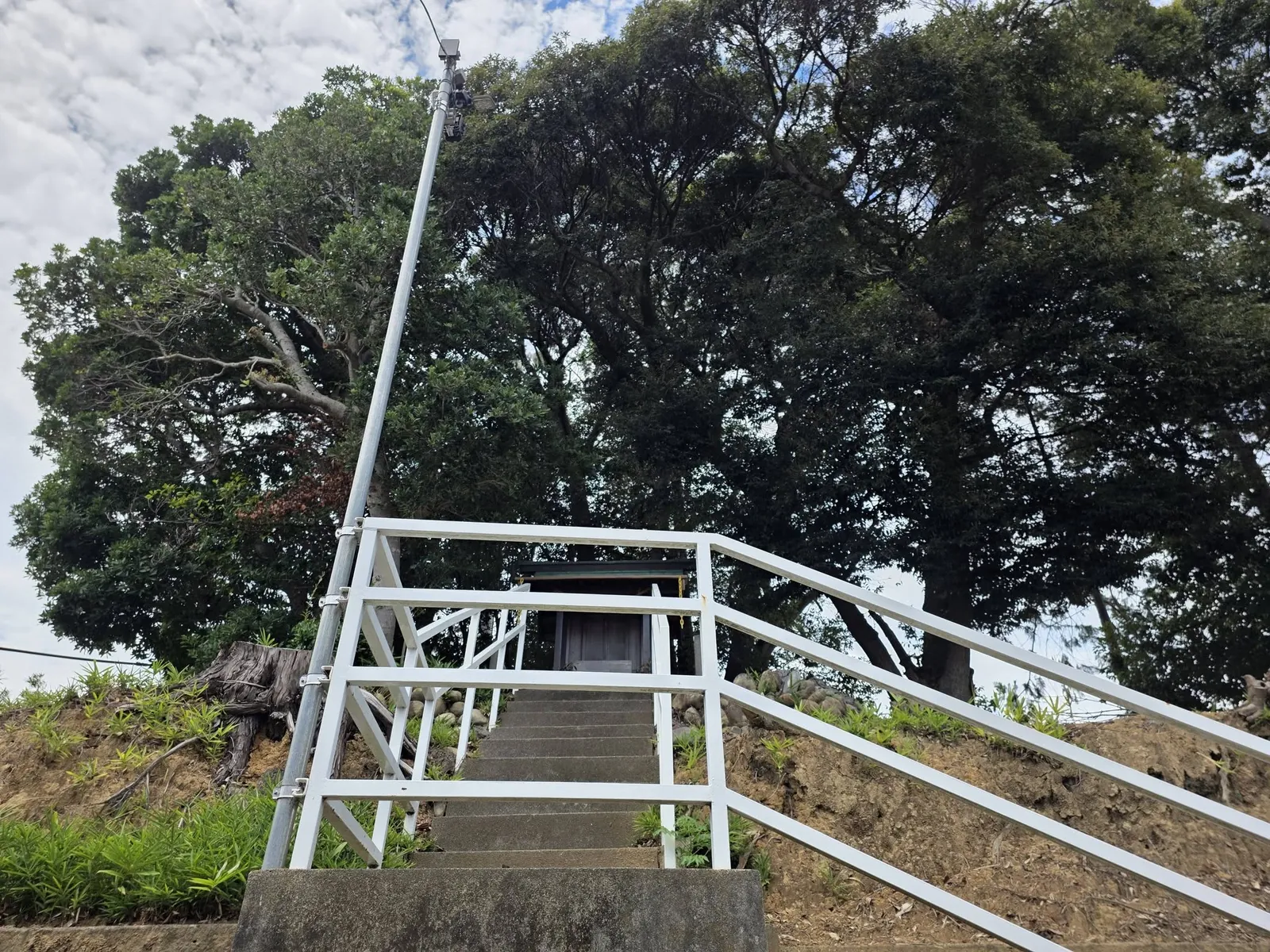 道路側から社殿へ続く石段を見上げる。