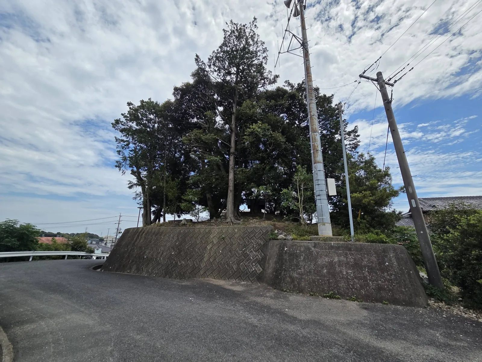 道路から見た境内の高台と社叢。