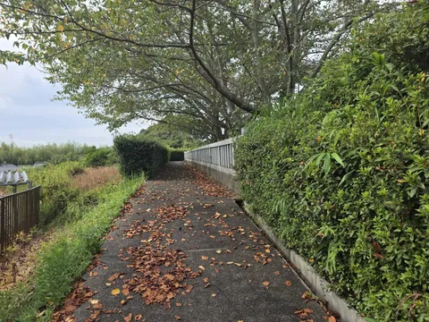 道路から境内へ続く参道。生垣に沿って舗装路が延びる。